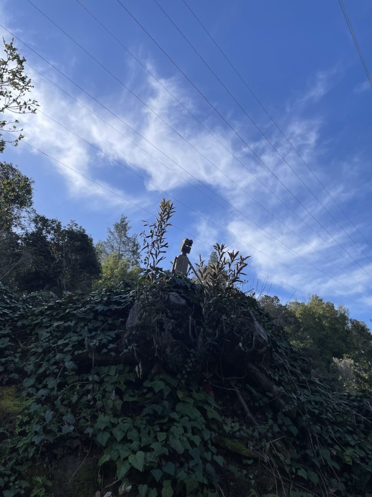 A wooden figure in a blue sky along the Bridgeview Troll Trailhead in Oakland