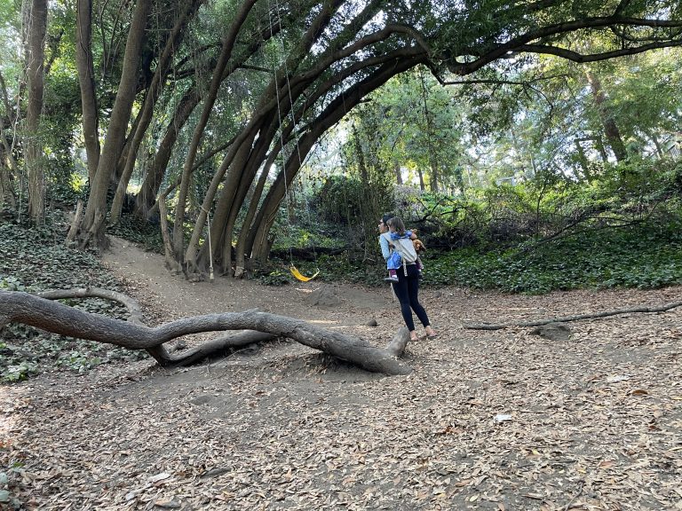 Mom and child hiking the Bridgeview Troll Trail in Oakland California with an ergo carrier near a tree swing