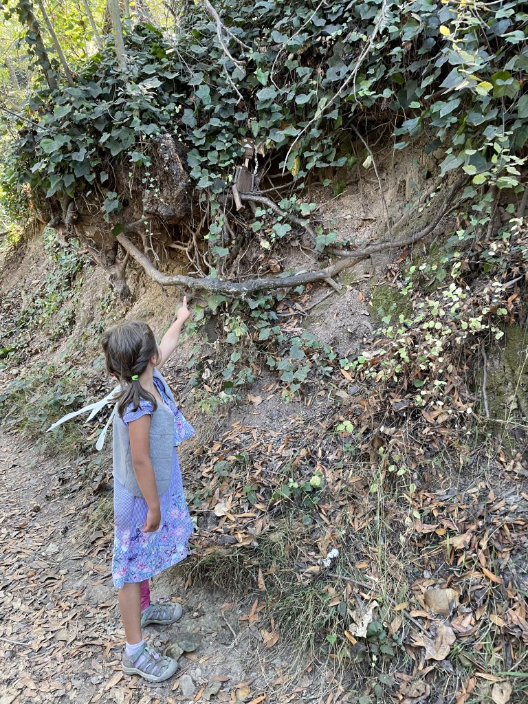 Child pointing to a troll along the Bridgeview Troll Trail hike in Oakland