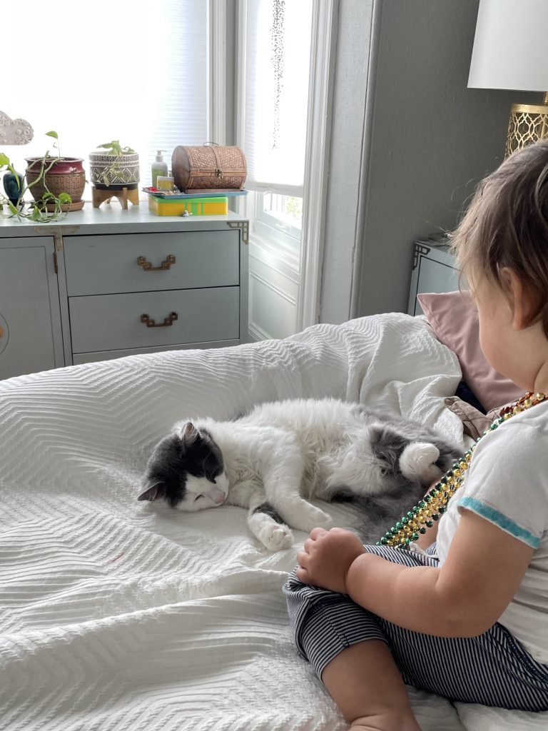 Adopting a Kitten with Kids: 7 Must-Know Tips for a Purr-fect Family Addition