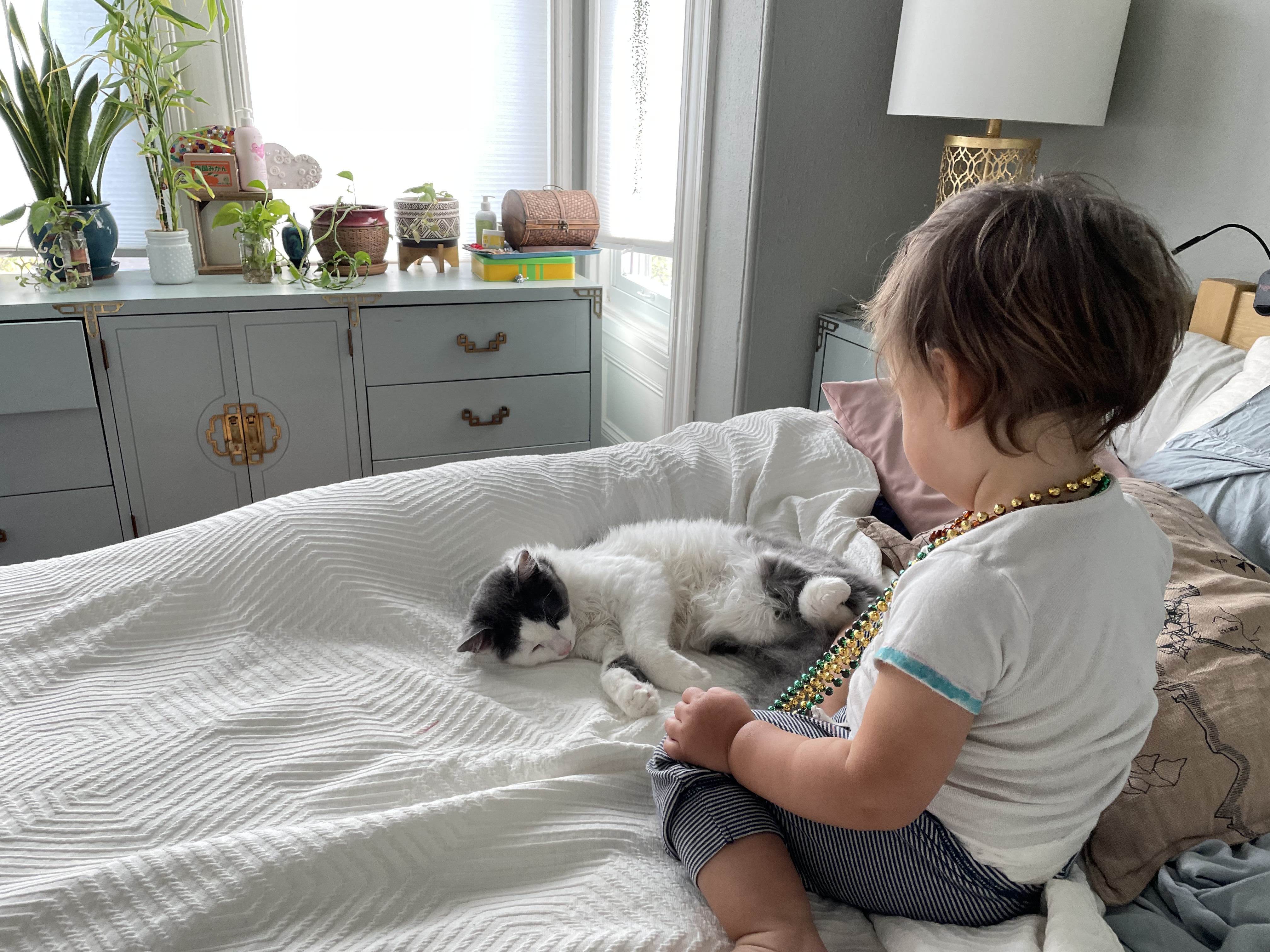 A grey and white kitten on a bed with a toddler