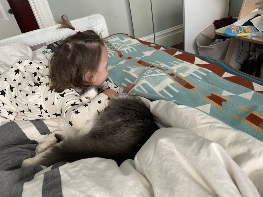 Cat in the bed with a one year old