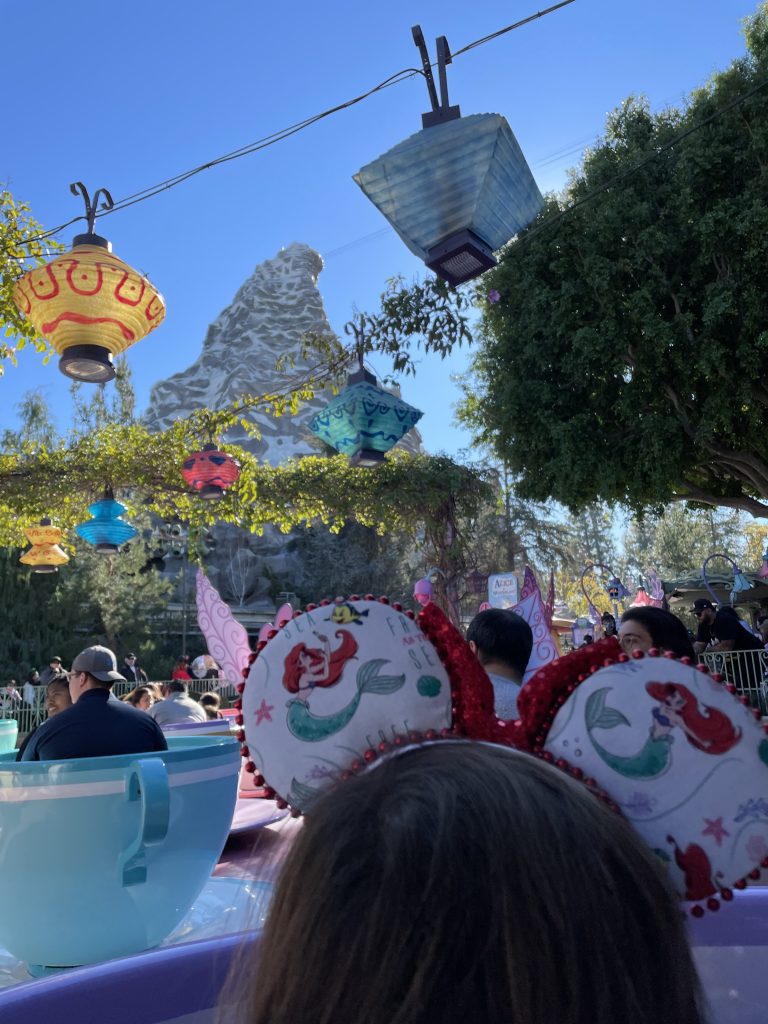 Disneyland Dining Hacks: How to Bring Kid-Friendly Food for Picky Eaters into the Park