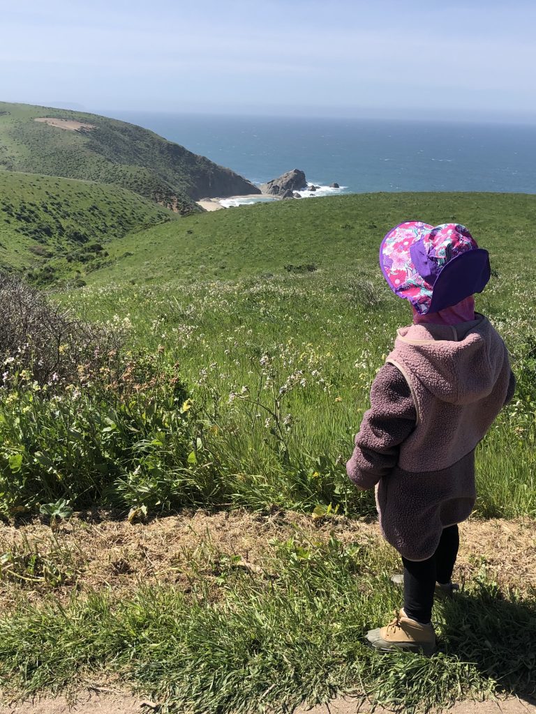 Exploring the Wonders of Point Reyes National Seashore with Kids: A Family-Friendly Guide to California’s Coastal Paradise