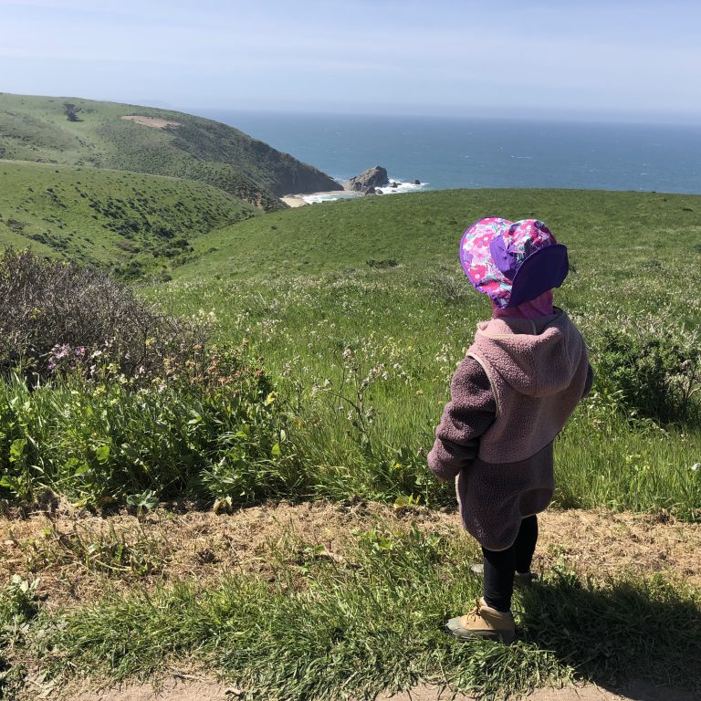 Exploring the Wonders of Point Reyes National Seashore with Kids: A Family-Friendly Guide to California’s Coastal Paradise