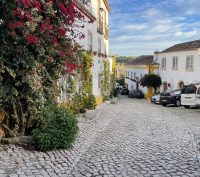 A cobble stone street with blooming flowers in Obidos Portugal