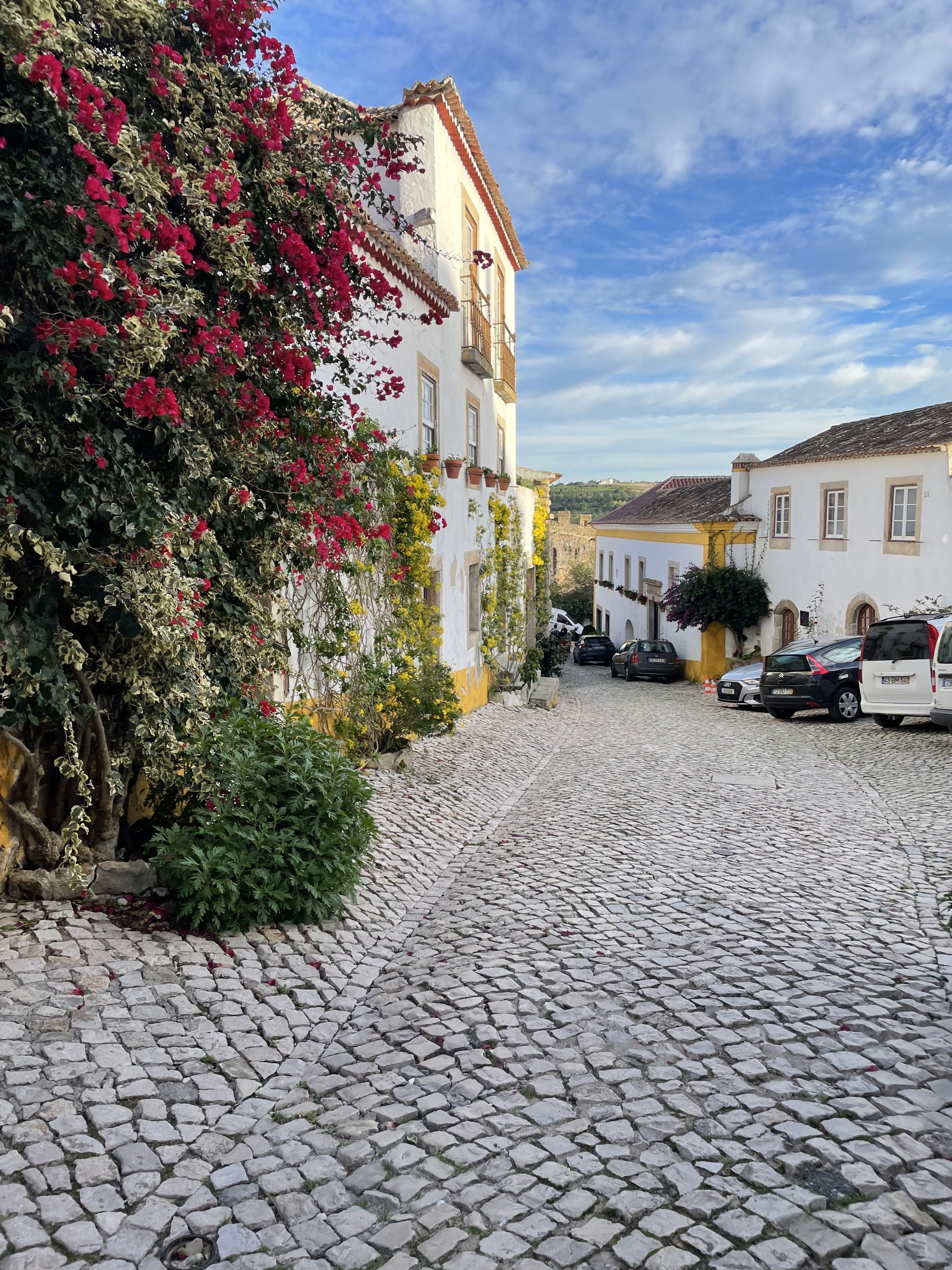 A cobble stone street with blooming flowers in Obidos Portugal