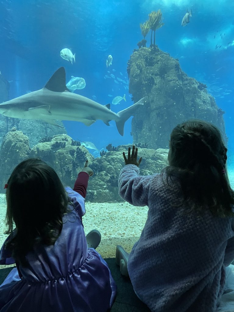 Two children looking through a fish tank at a shark at at the Ocenario de Lisboa Aquarium in Portugal