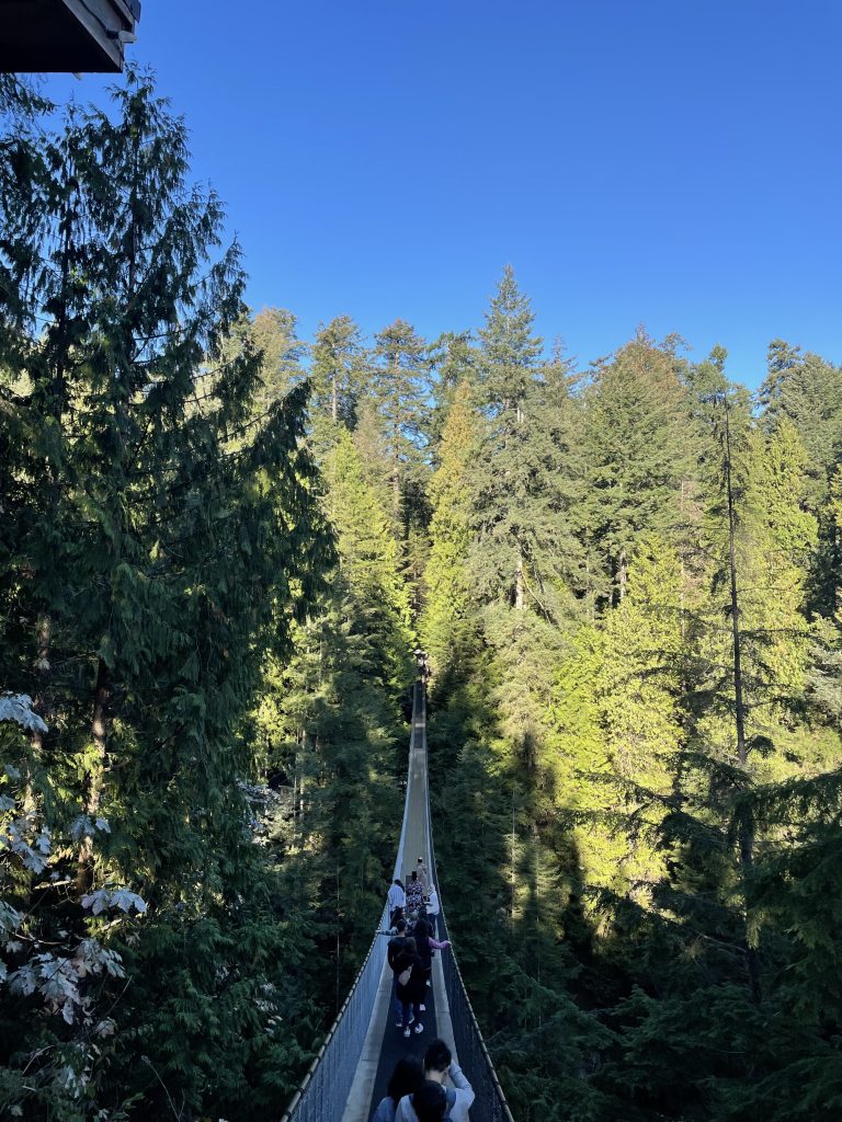 Capilano Kids Adventure: A Family-Friendly Guide to Exploring the Suspension Bridge in Vancouver