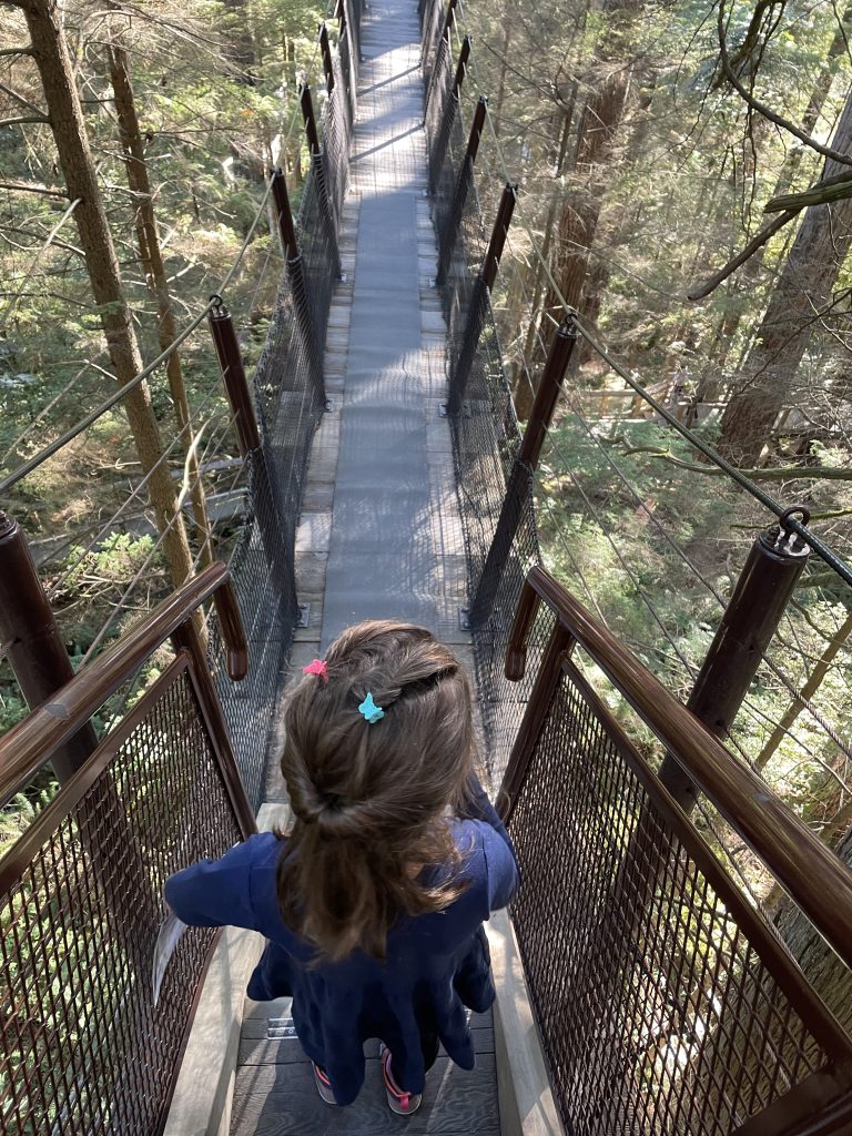 A child walking along the treetops adventure at Capilano Bridge Park in Vancouver