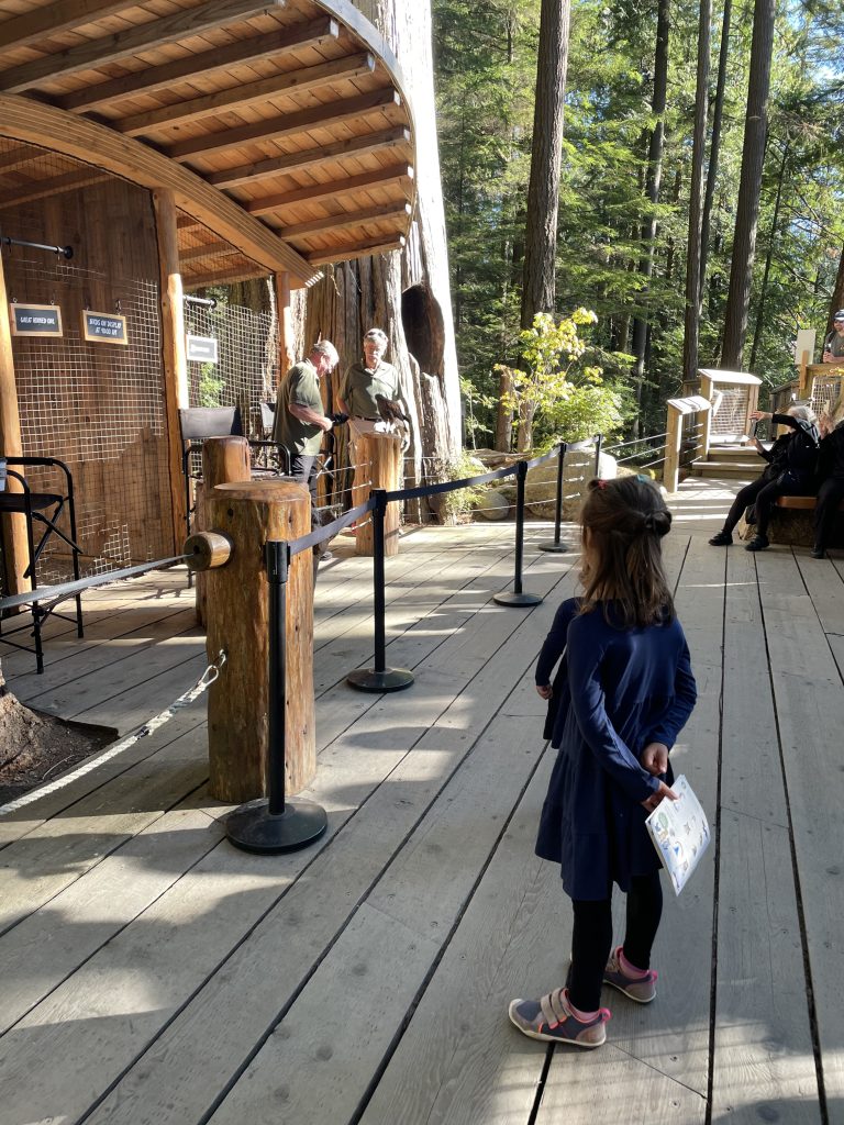 A child watching a bird show at the Capilano Suspension Bridge Park in Vancouver, BC