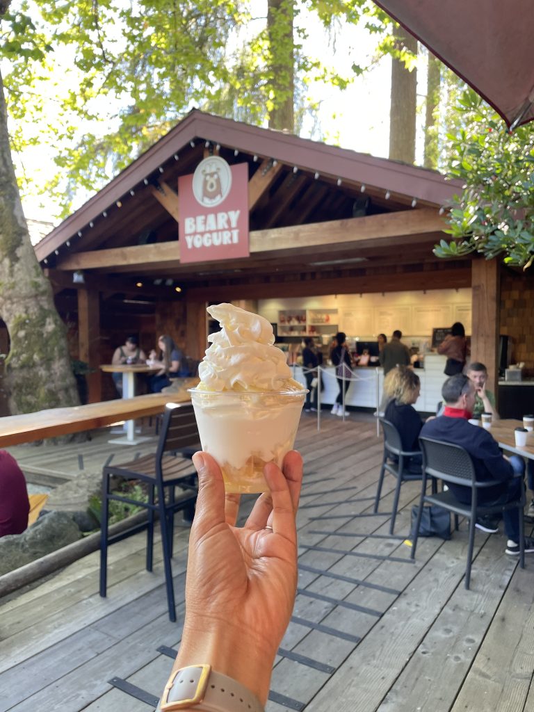 A hand holding frozen yogurt in a cup in front of the Beary Yogurt shop at Capilano Suspension Bridge Park in Vancouver