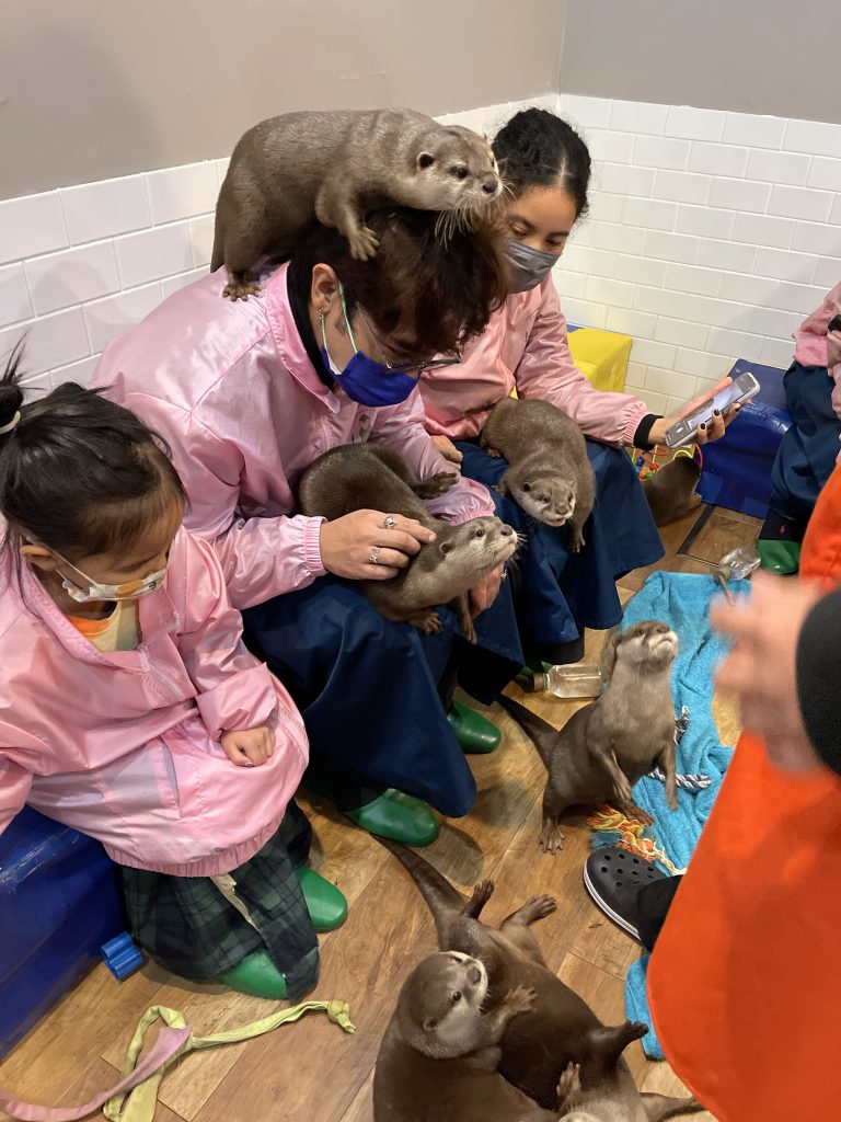 A young child and two adults in pink jackets sit in a room with otters at their feet and on top of one of their heads.