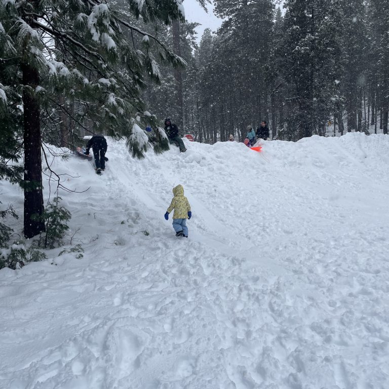 A child walking to begin sledding at Calaveras Big Trees State Park