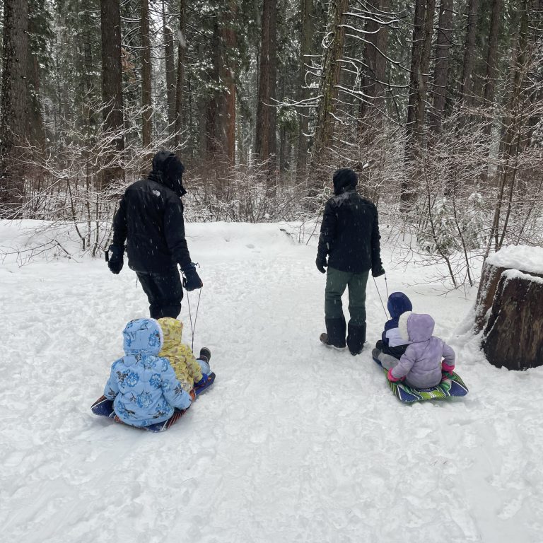 Two adults pulling children on sleds along the North Grove trail at Calaveras Big Trees State Park