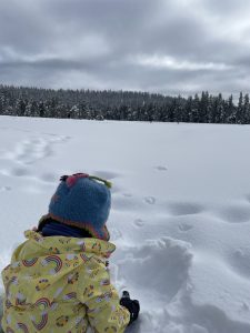 A child looking onto a groomed cross country skiing trail in Bear Valley Adventure Co