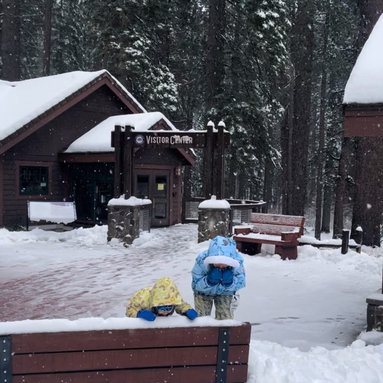 Two children eating snow off a bench in front of the visitor center at Calaveras Big Trees State Park in winter