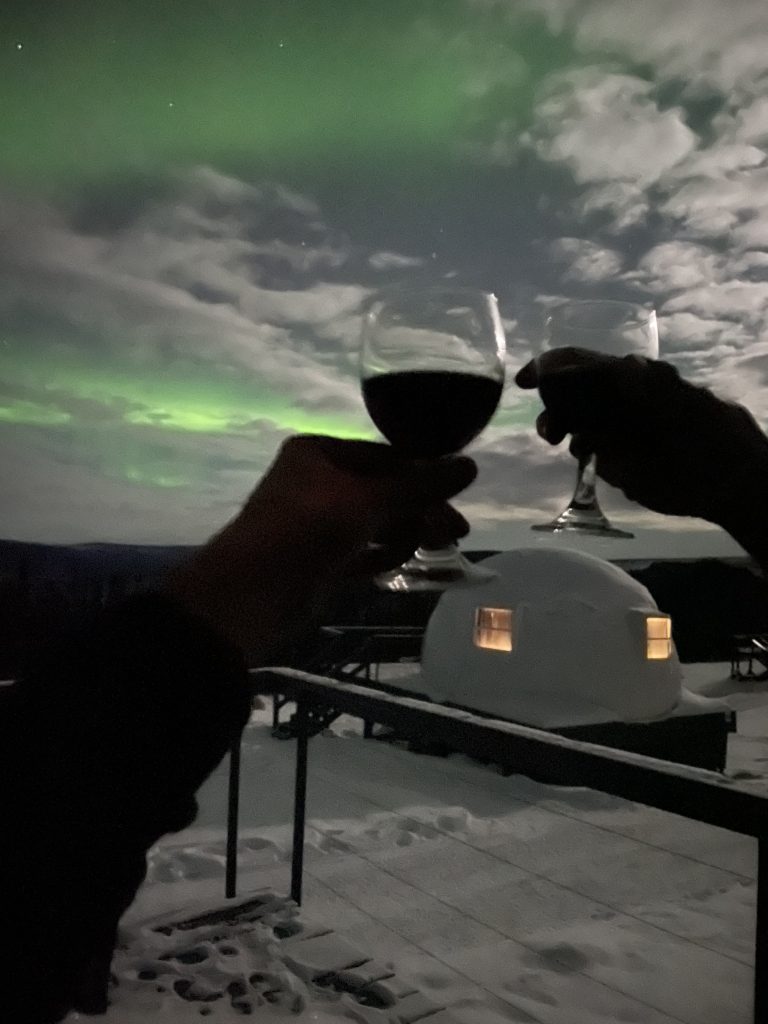 Shadow of two people clicking wine glasses in front of an igloo at Borealis Basecamp with the Aurora Borealis in sight in Fairbanks, Alaska