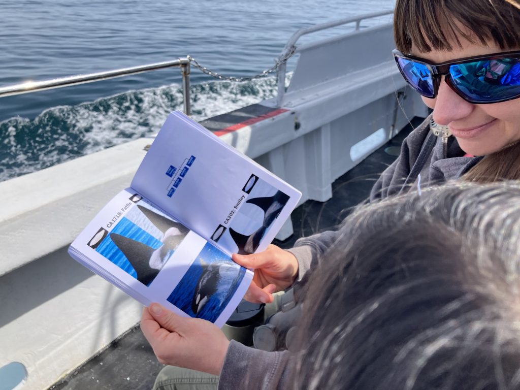 a guide shows a child an open book of photos of whales.