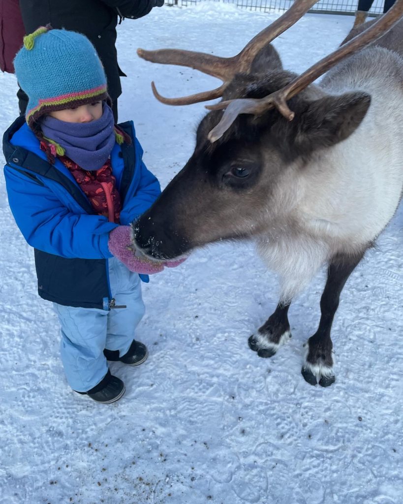 A child feeding a reindeer at Borealis Basecamp in Alaska