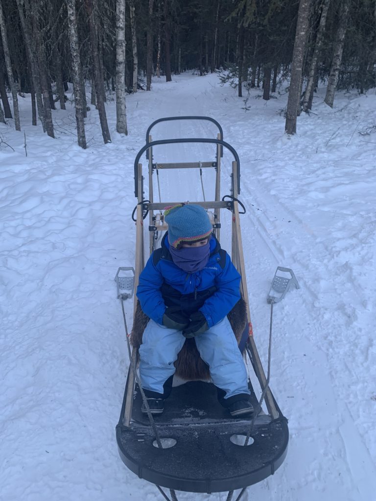 a child on a dog sled at borealis basecamp in fairbanks, alaska