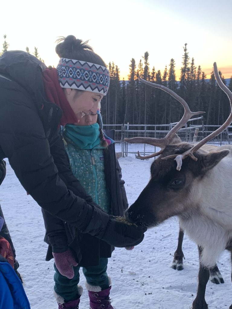 Family-Friendly Winter Activities at Borealis Basecamp for Kids