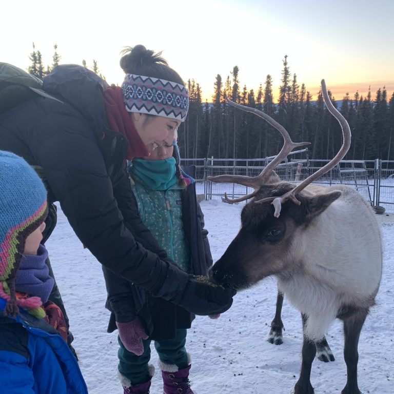 Family-Friendly Winter Activities at Borealis Basecamp for Kids