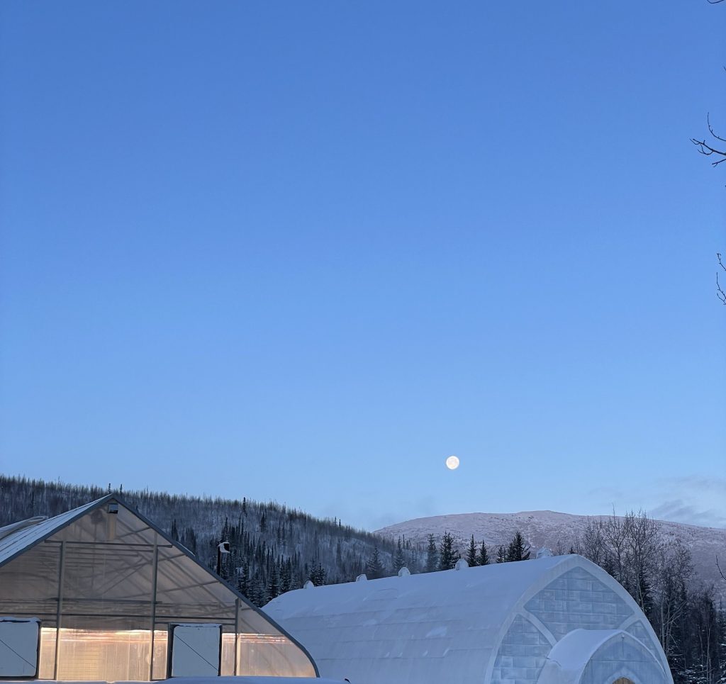 A view of the green house and ice museum below a moonlit sky at Chena Hot Springs