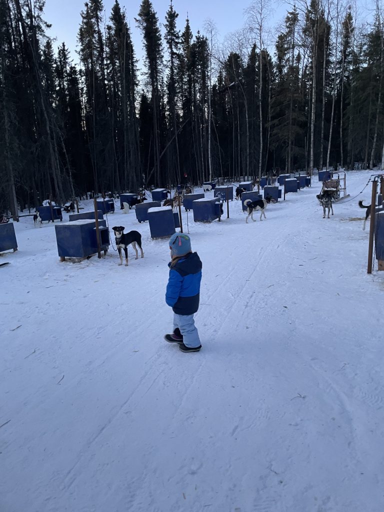 A child walking through the sled dog houses at Borealis Basecamp in Fairbanks, Alaska