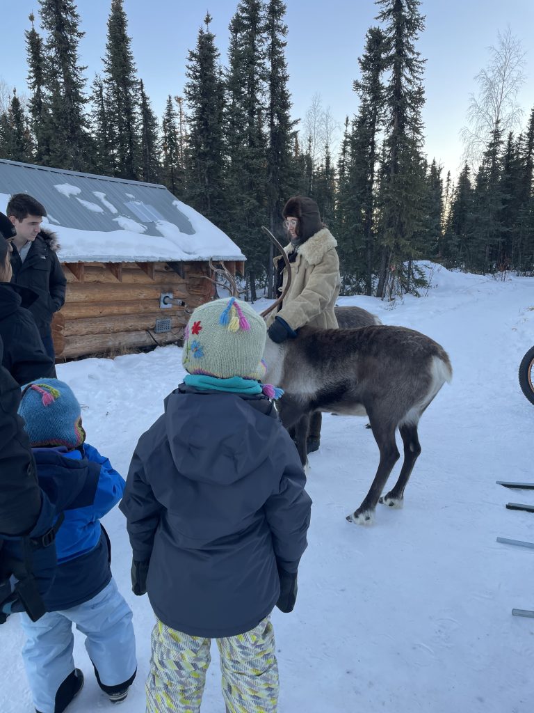 A guide holding a reindeer at Borealis Basecamp in Fairbanks, Alaska