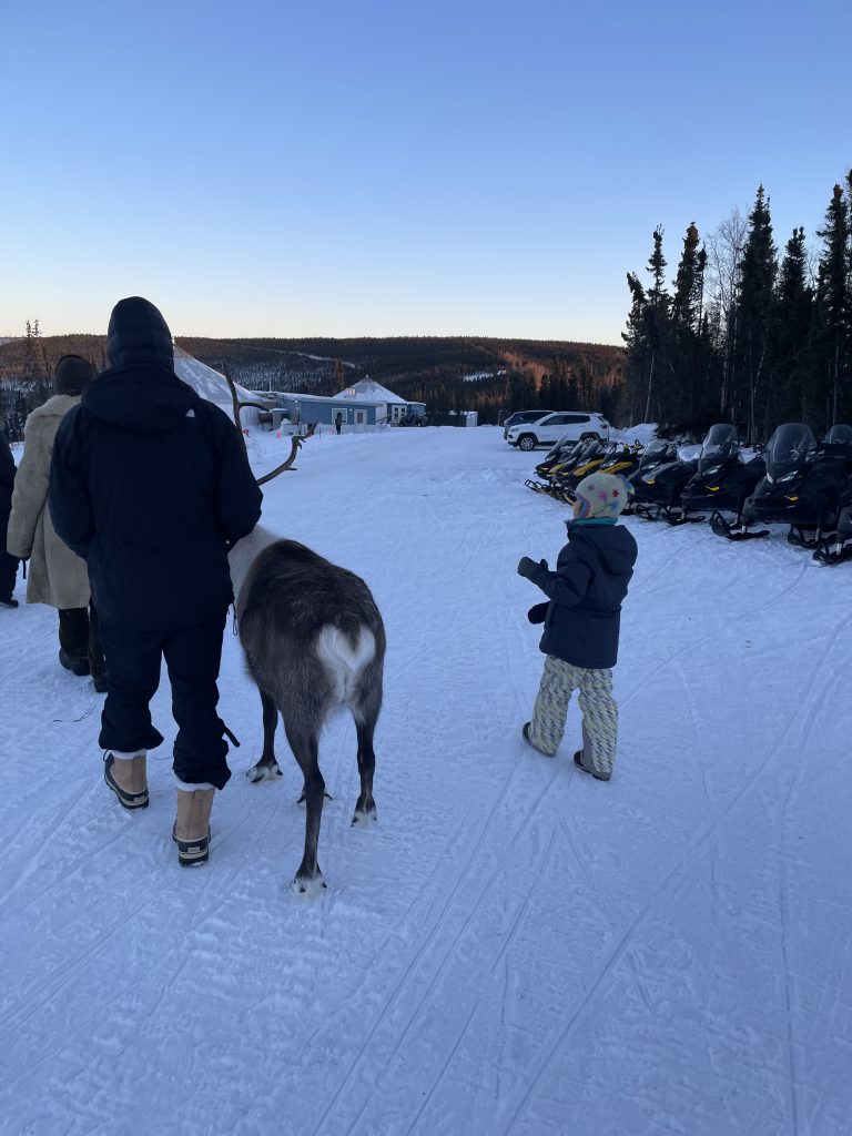 An adult walking a reindeer on a leash next to a child at Borealis Basecamp in Fairbanks Alaska