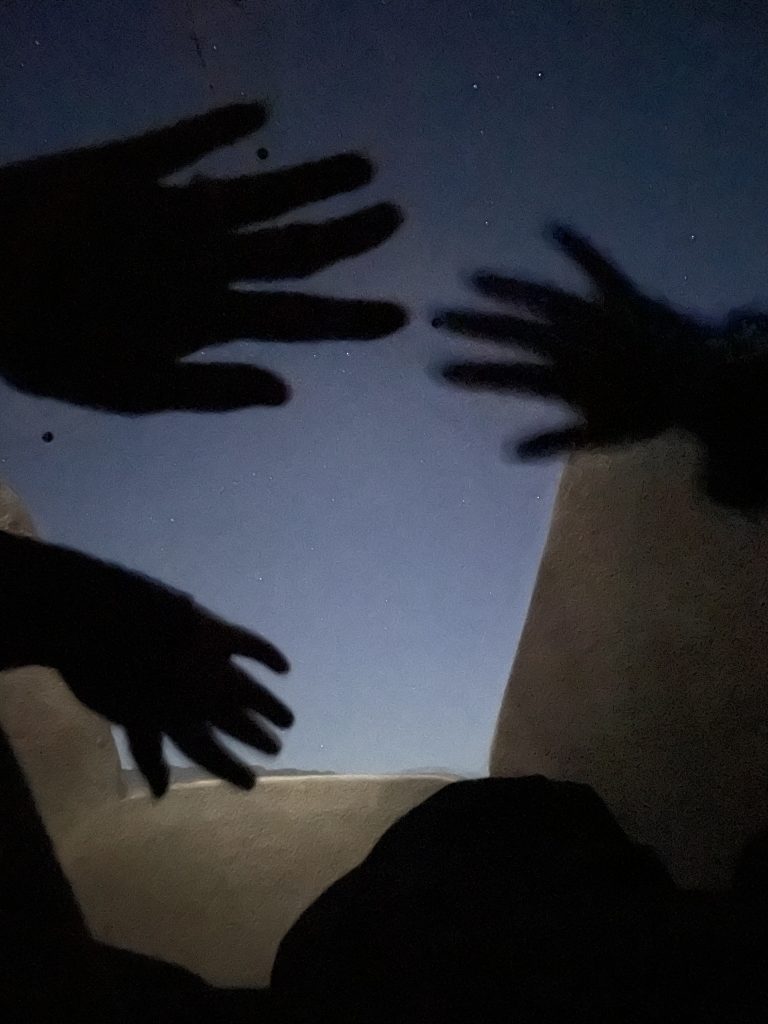 Two hands shadow in front of the night sky at Borealis Basecamp in Fairbanks, Alaska