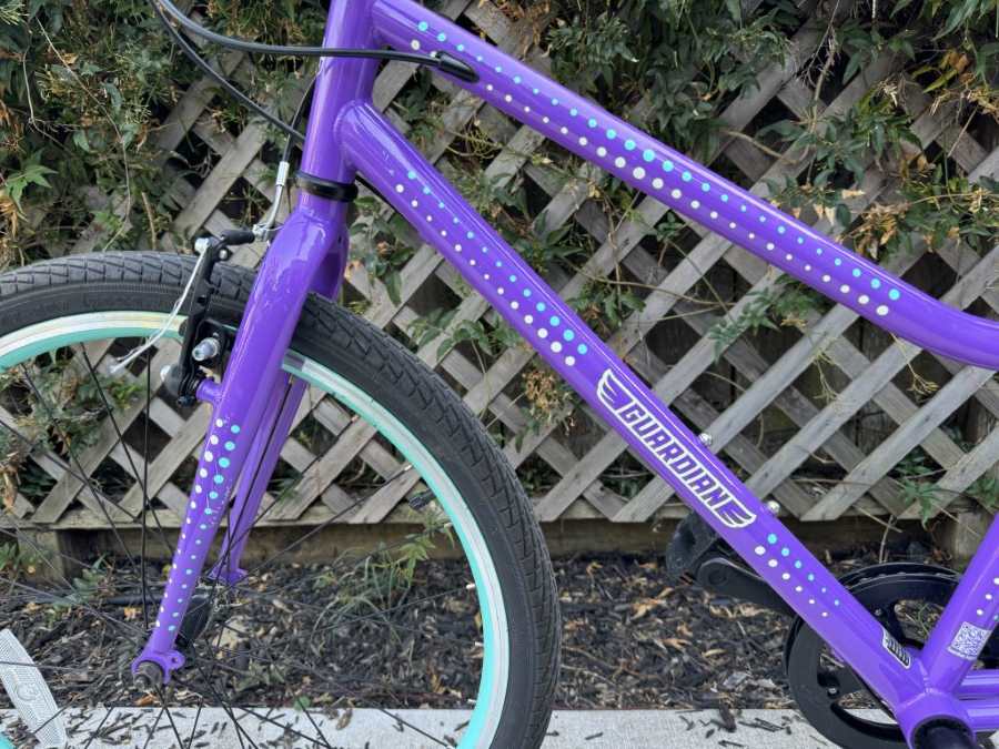 Guardian bike in purple aqua against a wooden fence with a teal rim around the tire.