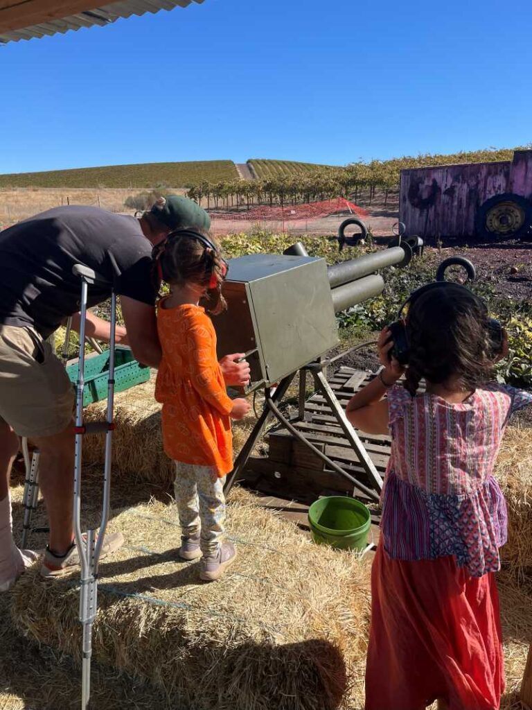 Children aiming a metal canon in a field at Three Nunns Farm in Brentwood, CA
