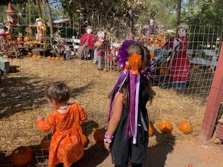 Children looking at scarecrows at Smith Family Farms in Brentwood
