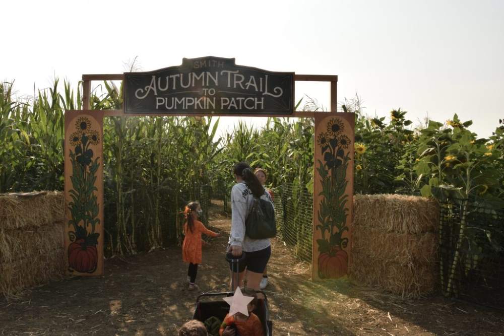 An adult pulling a wagon with a child on the Autumn Trail at Smith Family Farm's pumpkin patch in Brentwood, CA