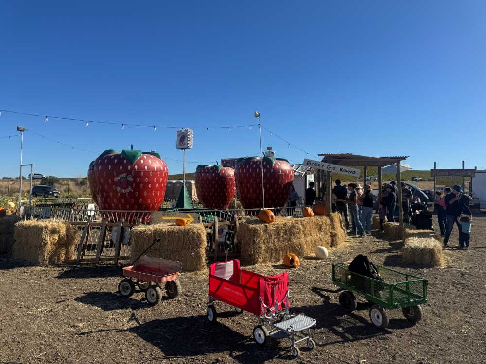 Large metal strawberry ride at Three Nunn Farms in Brentwood, CA