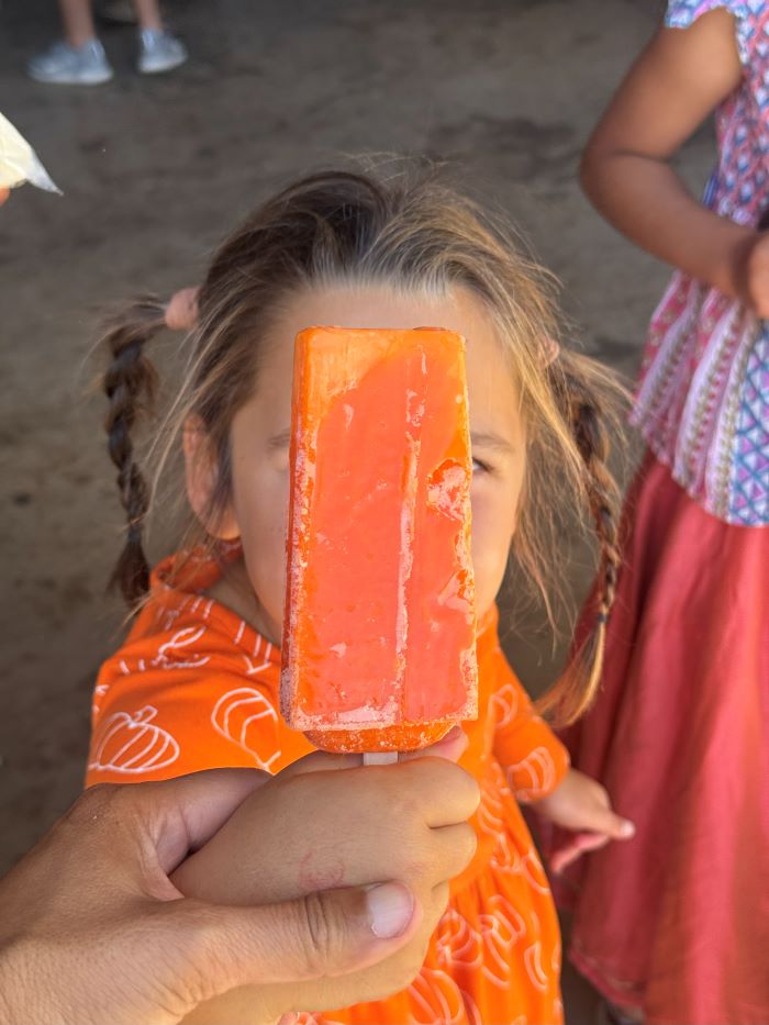 Pumpkin popsicle from Three Nunns Farm in Brentwood, CA