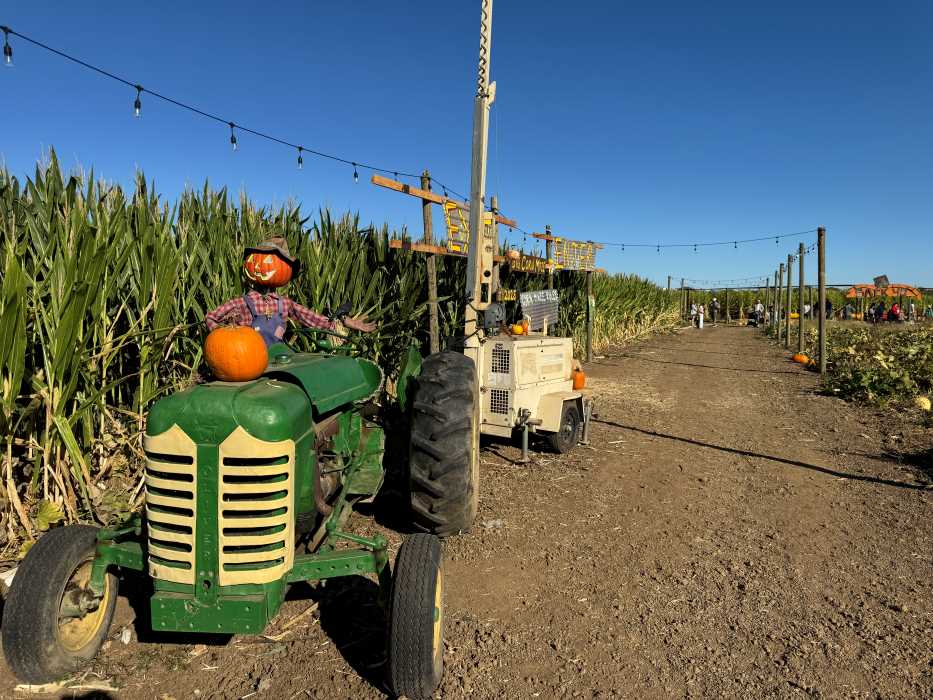 A pumpkin on a green tractor at Three Nunns Farm in Brentwood, CA