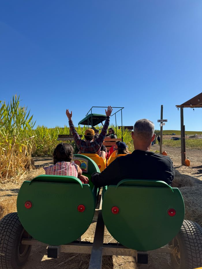 A child sitting with a grown up in bucket seats being pulled by a tractor through a corn field at Three Nunns Farm in Brentwood, CA