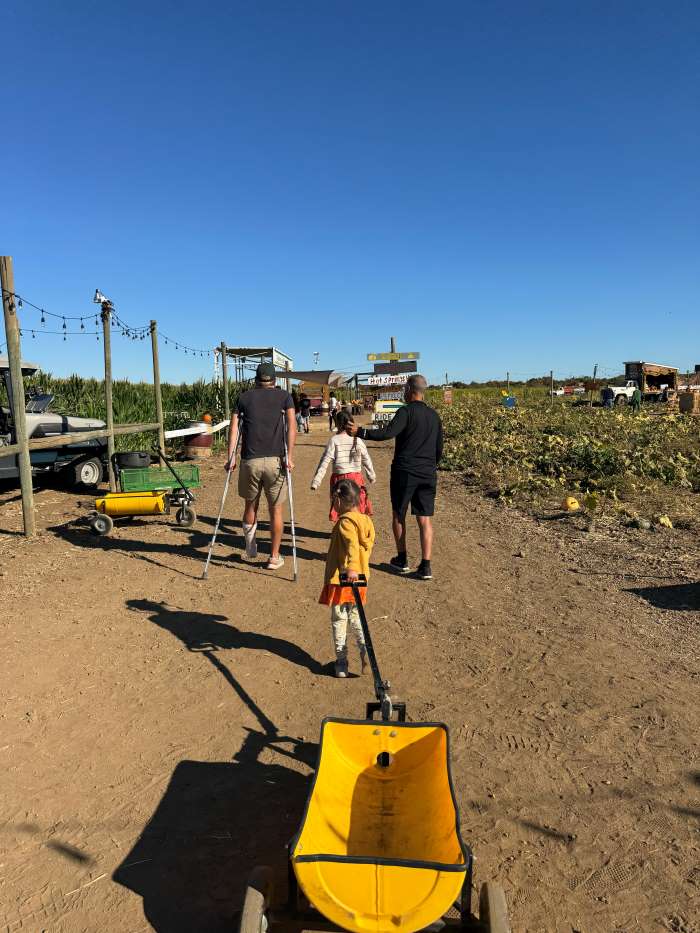 A child pulling a bright yellow wagon through Three Nunns Farm in Brentwood, CA