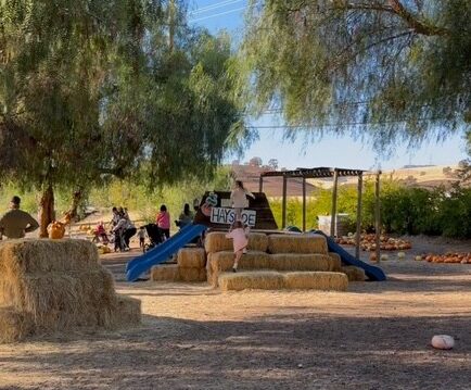 Children playing on slides made out of hay at the Three Nunns Farm in Brentwood, CA
