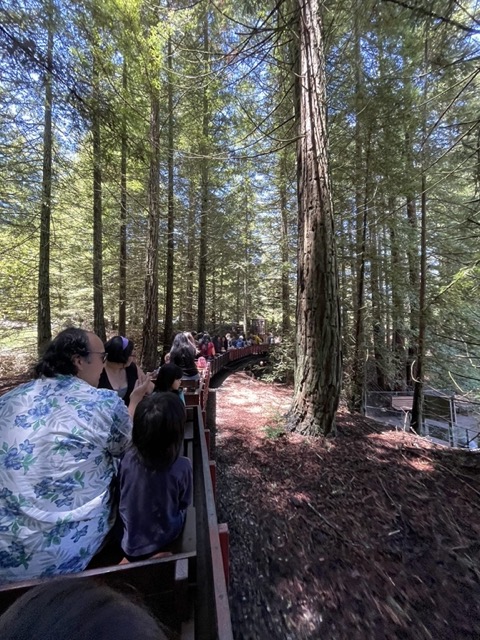 kids-tilden-berkeley-train Medium