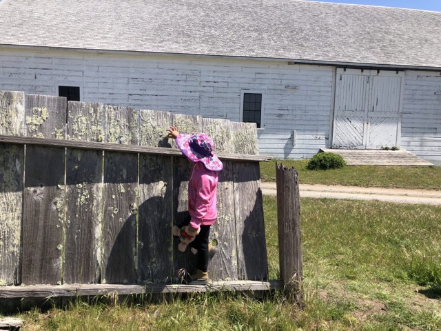 point-reyes-station-barn-kid Medium