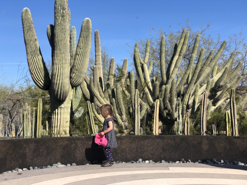 How to Visit Phoenix with your Kids - Where to Eat & Play