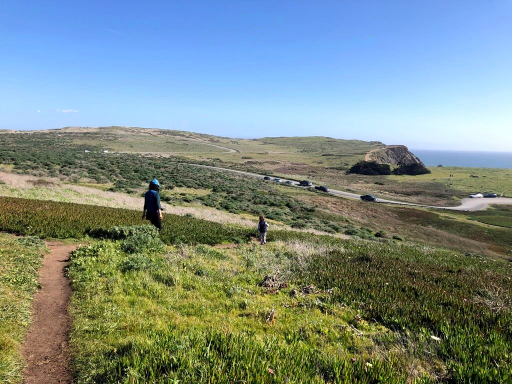 Point Reyes Kid A Complete Guide to Exploring Point Reyes Peninsula with Kids in ...