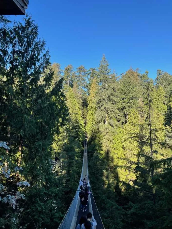People walking along the capilano suspension bridge in North Vancouver, Canada