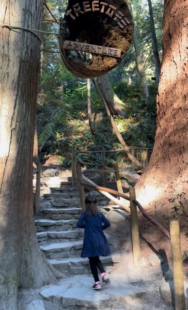 A child going to the treetops adventure at Capilano Suspension Bridge Park in Vancouver, Canada