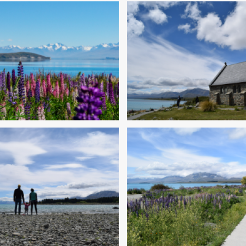 A series of four photos sharing the crystal blue glacier water of Lake Tekapo